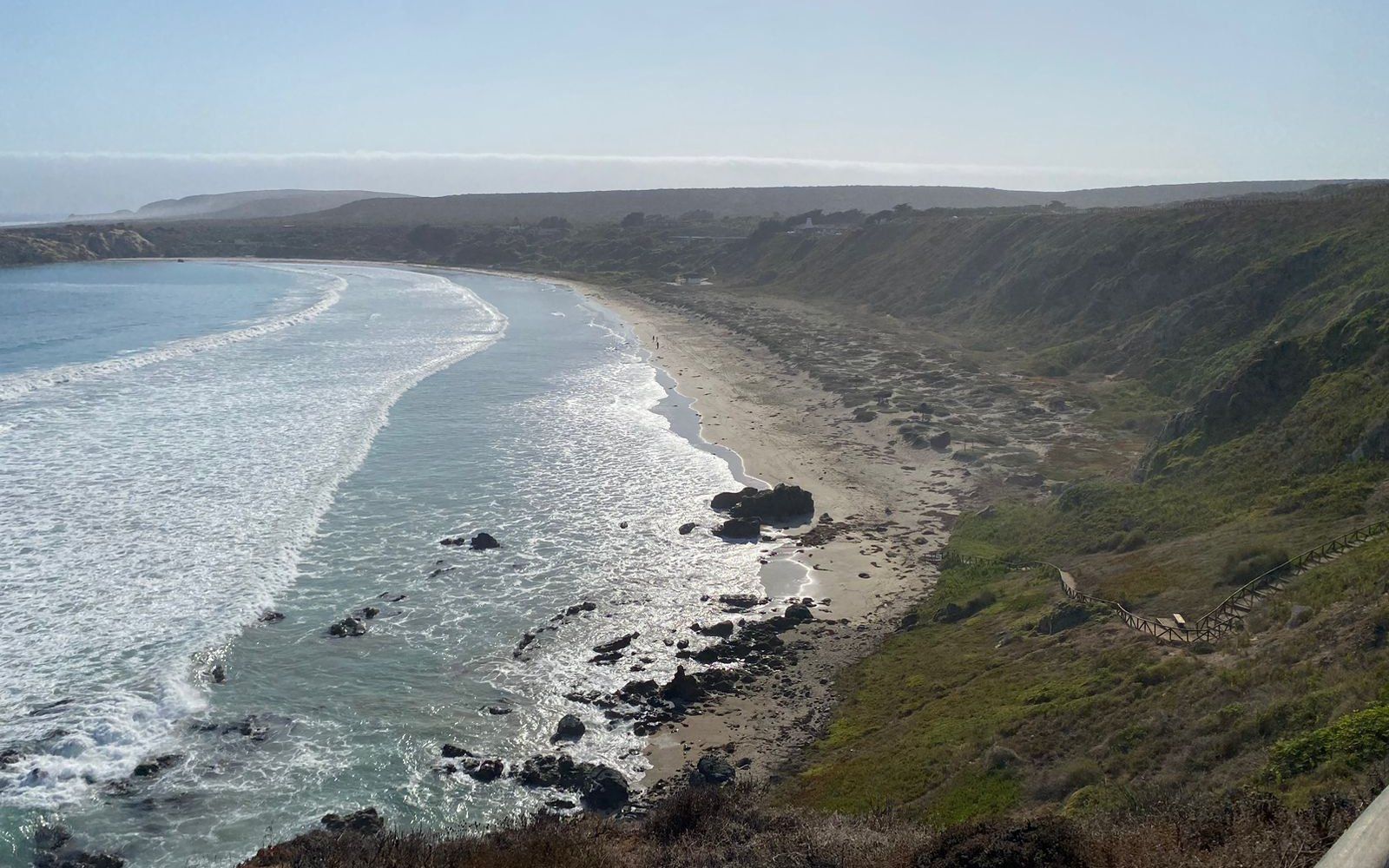 Canela y Huentelauquén